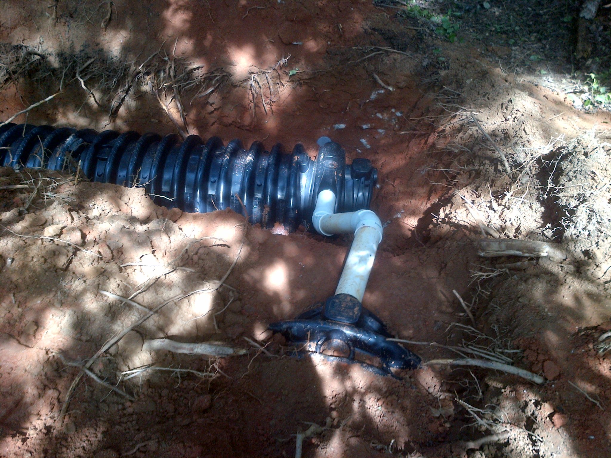 View of Drain Field Repair - Greene Tree and Construction, LLC